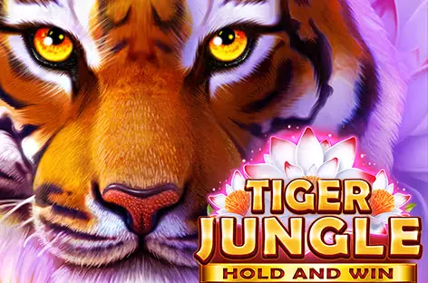 Tiger Jungle: Hold and Win